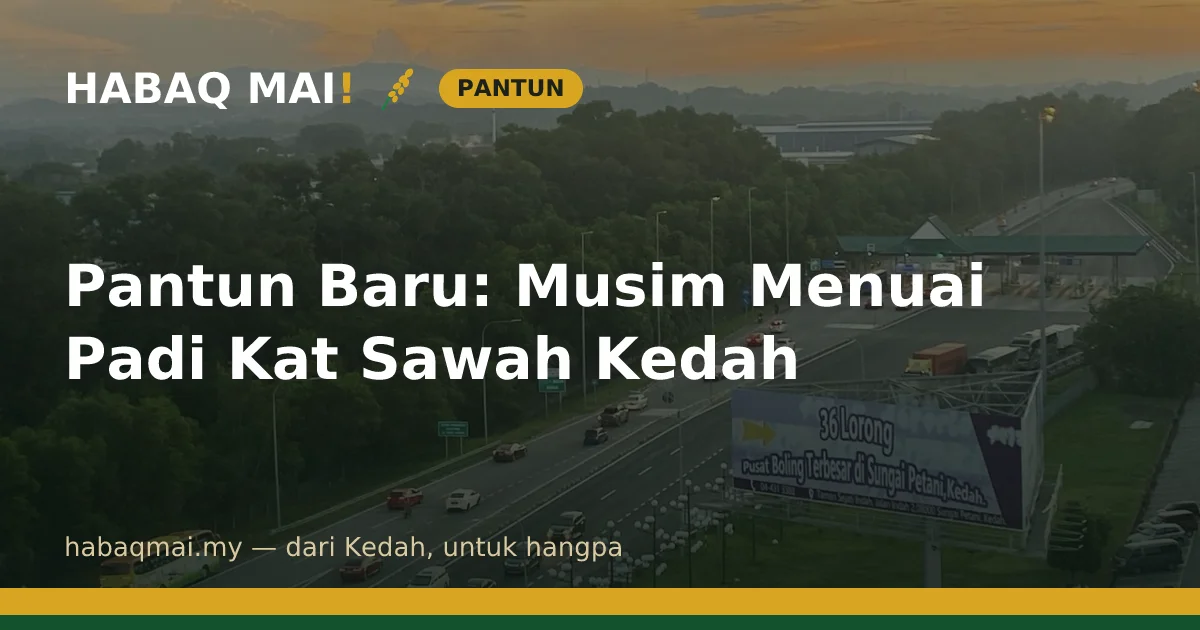 Pantun Baru: Musim Menuai Padi Kat Sawah Kedah