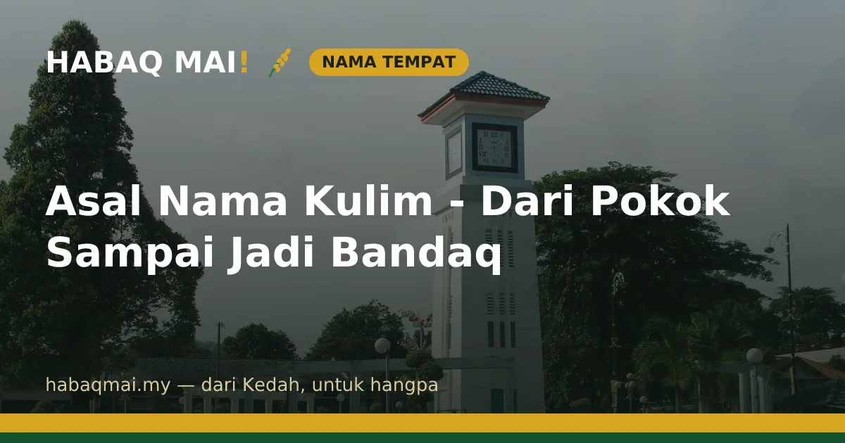Asal Nama Kulim - Dari Pokok Sampai Jadi Bandaq