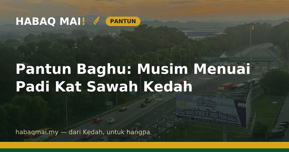 Pantun Baghu: Musim Menuai Padi Kat Sawah Kedah