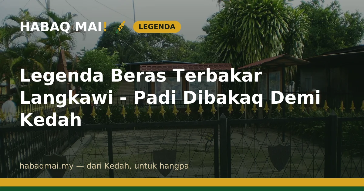 Legenda Beras Terbakar Langkawi - Padi Dibakaq Demi Kedah