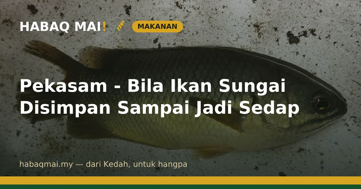 Pekasam - Bila Ikan Sungai Disimpan Sampai Jadi Sedap