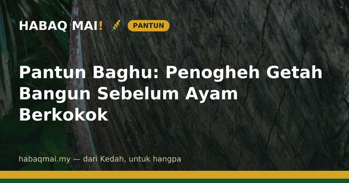 Pantun Baghu: Penogheh Getah Bangun Sebelum Ayam Berkokok