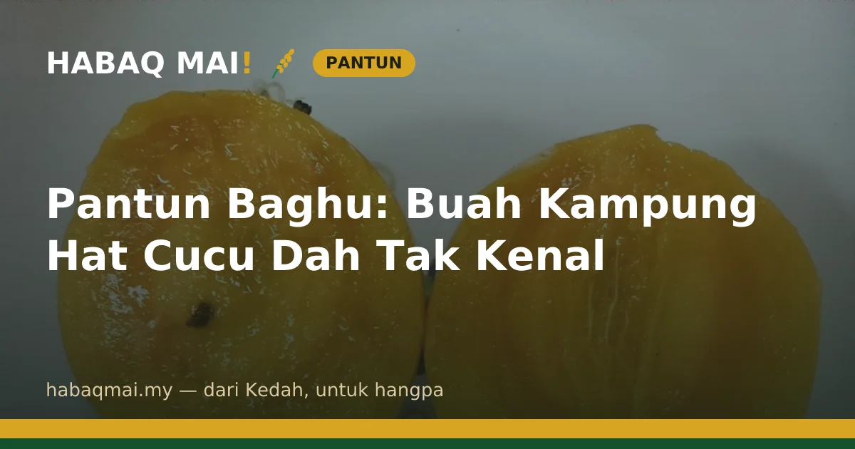 Pantun Baghu: Buah Kampung Hat Cucu Dah Tak Kenal