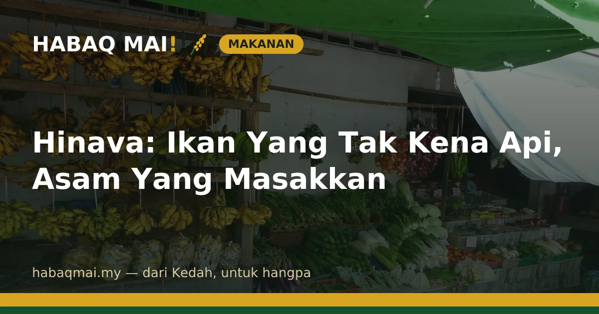 Hinava: Ikan Yang Tak Kena Api, Asam Yang Masakkan