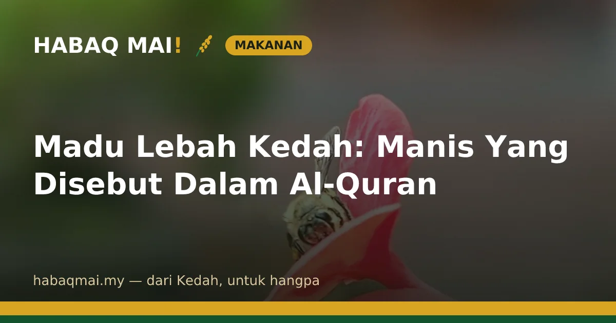 Madu Lebah Kedah: Manis Yang Disebut Dalam Al-Quran