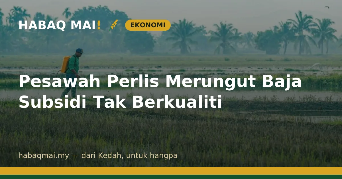 Pesawah Perlis Merungut Baja Subsidi Tak Berkualiti