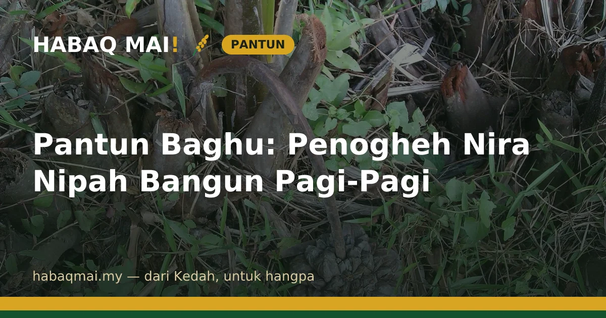 Pantun Baghu: Penogheh Nira Nipah Bangun Pagi-Pagi