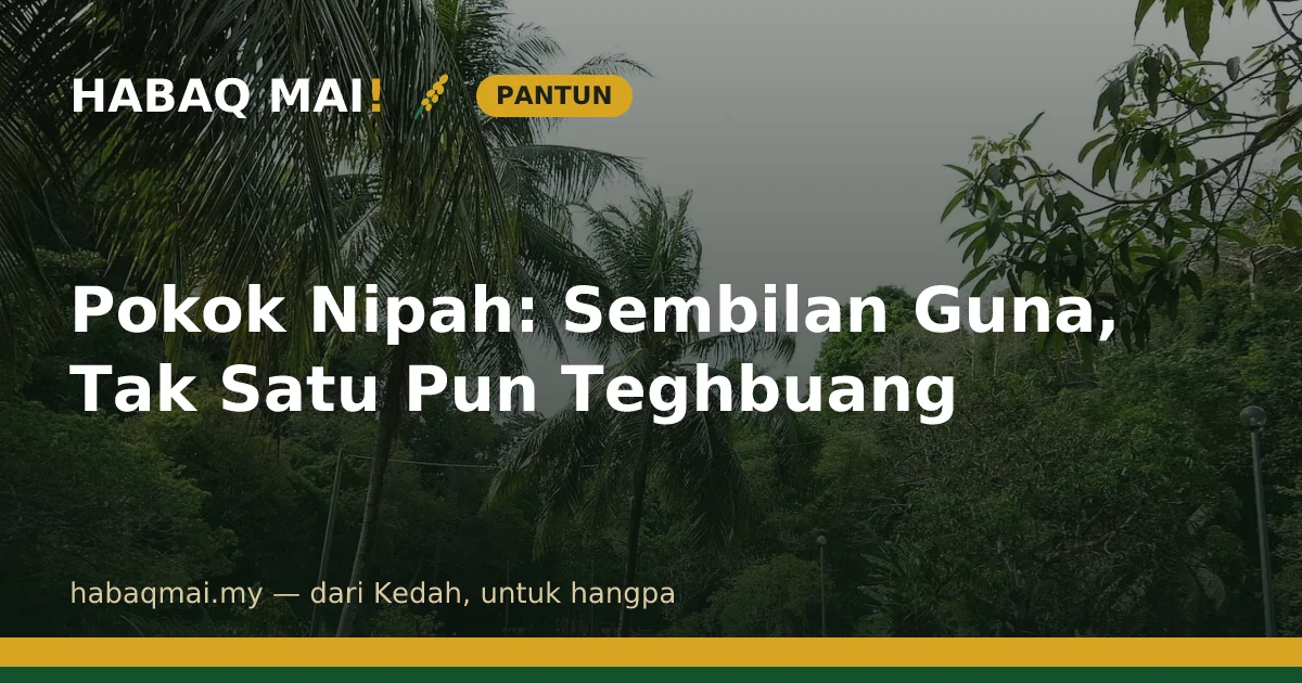 Pokok Nipah: Sembilan Guna, Tak Satu Pun Teghbuang