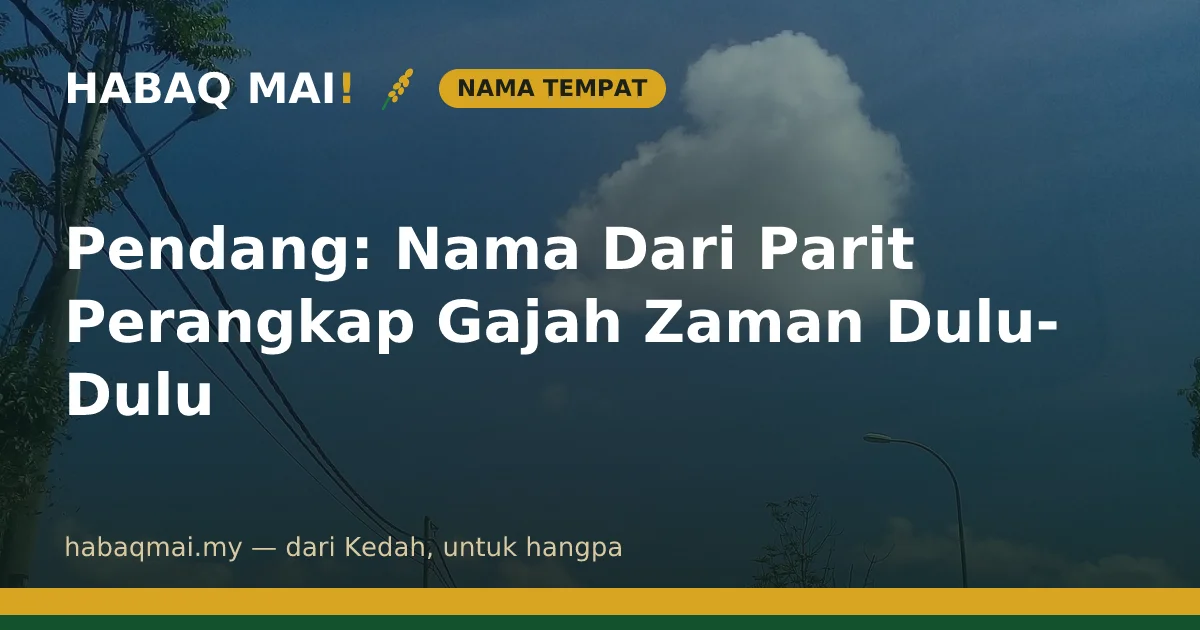 Pendang: Nama Dari Parit Perangkap Gajah Zaman Dulu-Dulu