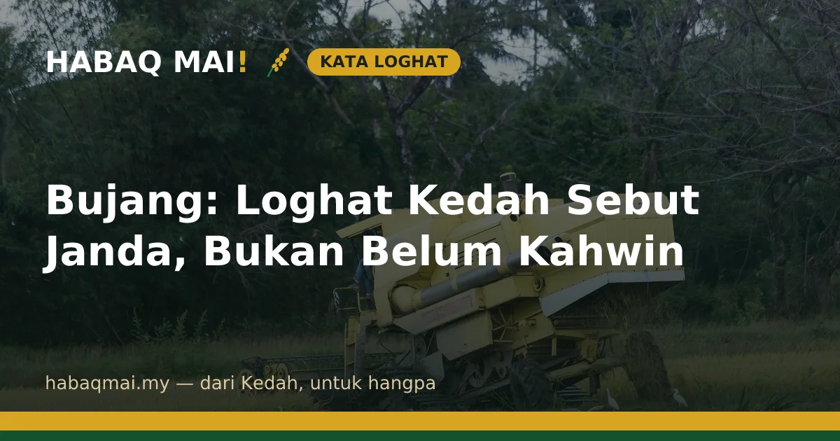 Bujang: Loghat Kedah Sebut Janda, Bukan Belum Kahwin