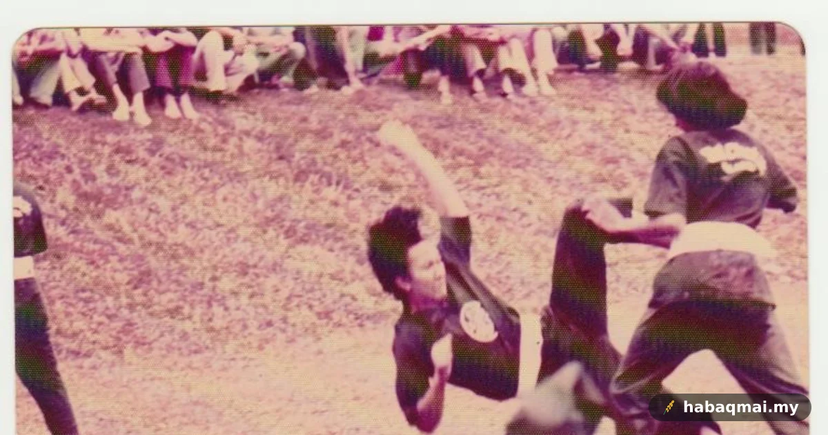 Silat Cekak: Ilmu Senyap 40 Tahun Sebelum Bangun Semula