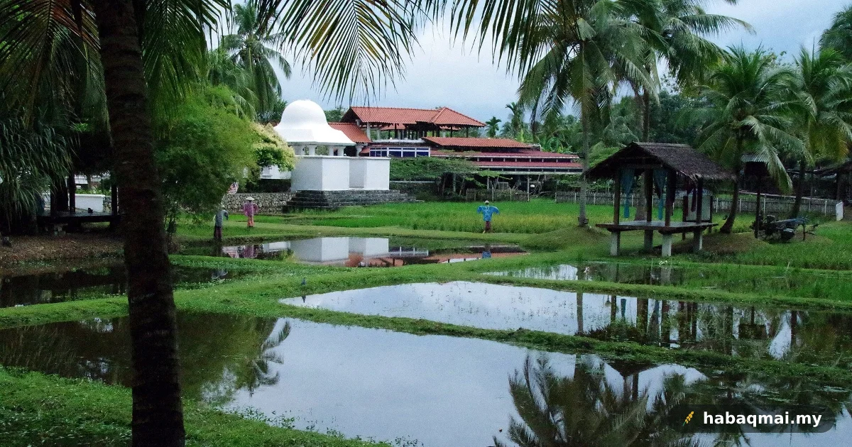 Boroi: Loghat Kedah Untuk Perut Yang Dah Menonjol