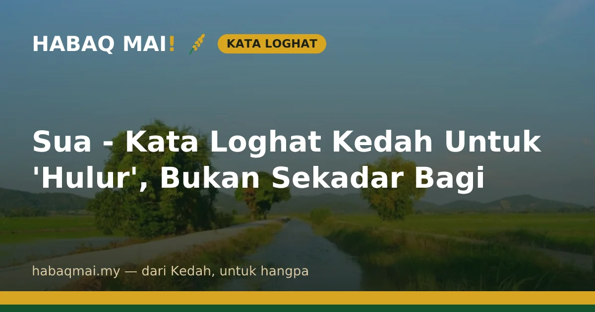 Sua - Kata Loghat Kedah Untuk 'Hulur', Bukan Sekadar Bagi