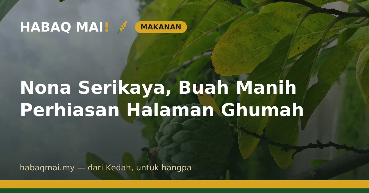 Nona Serikaya, Buah Manih Perhiasan Halaman Ghumah