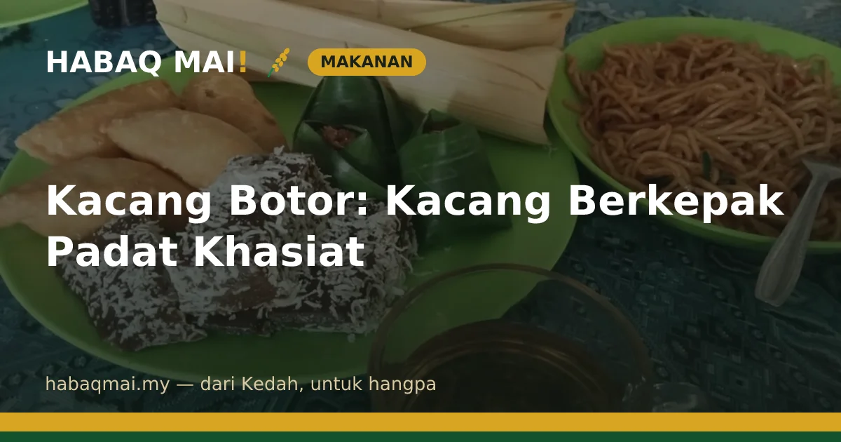 Kacang Botor: Kacang Berkepak Padat Khasiat