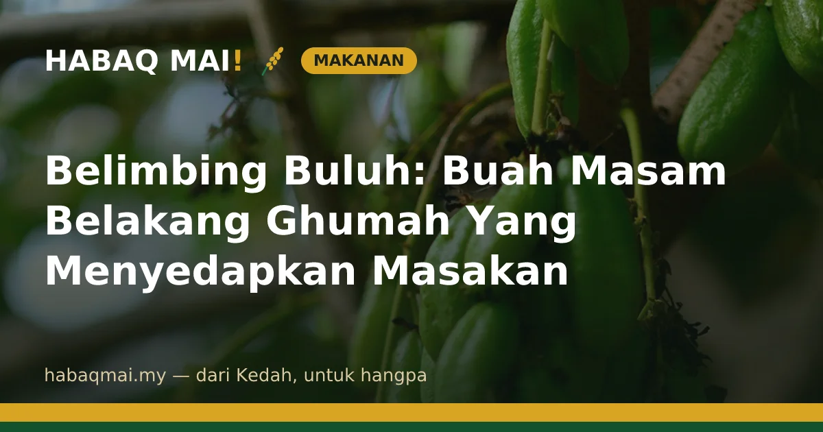 Belimbing Buluh: Buah Masam Belakang Ghumah Yang Menyedapkan Masakan
