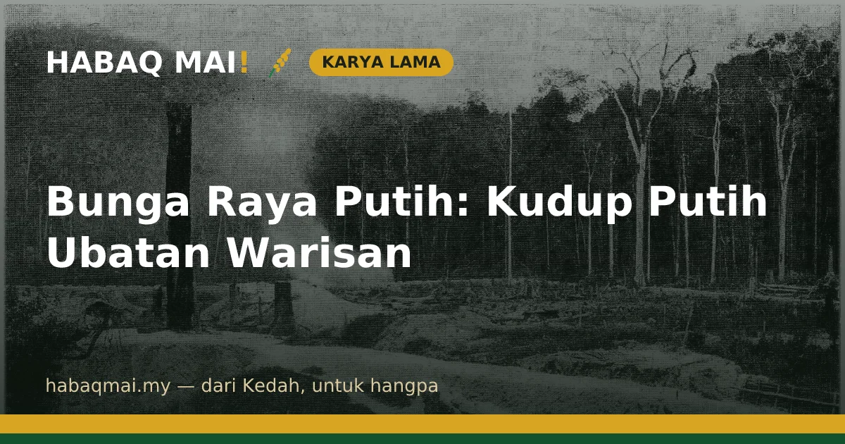 Bunga Raya Putih: Kudup Putih Ubatan Warisan