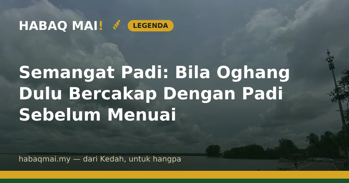 Semangat Padi: Bila Oghang Dulu Bercakap Dengan Padi Sebelum Menuai