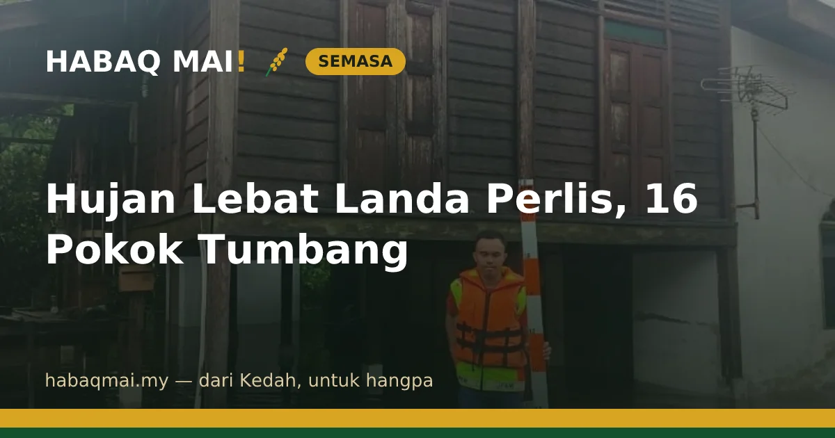 Hujan Lebat Landa Perlis, 16 Pokok Tumbang