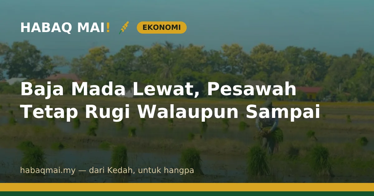Baja Mada Lewat, Pesawah Tetap Rugi Walaupun Sampai