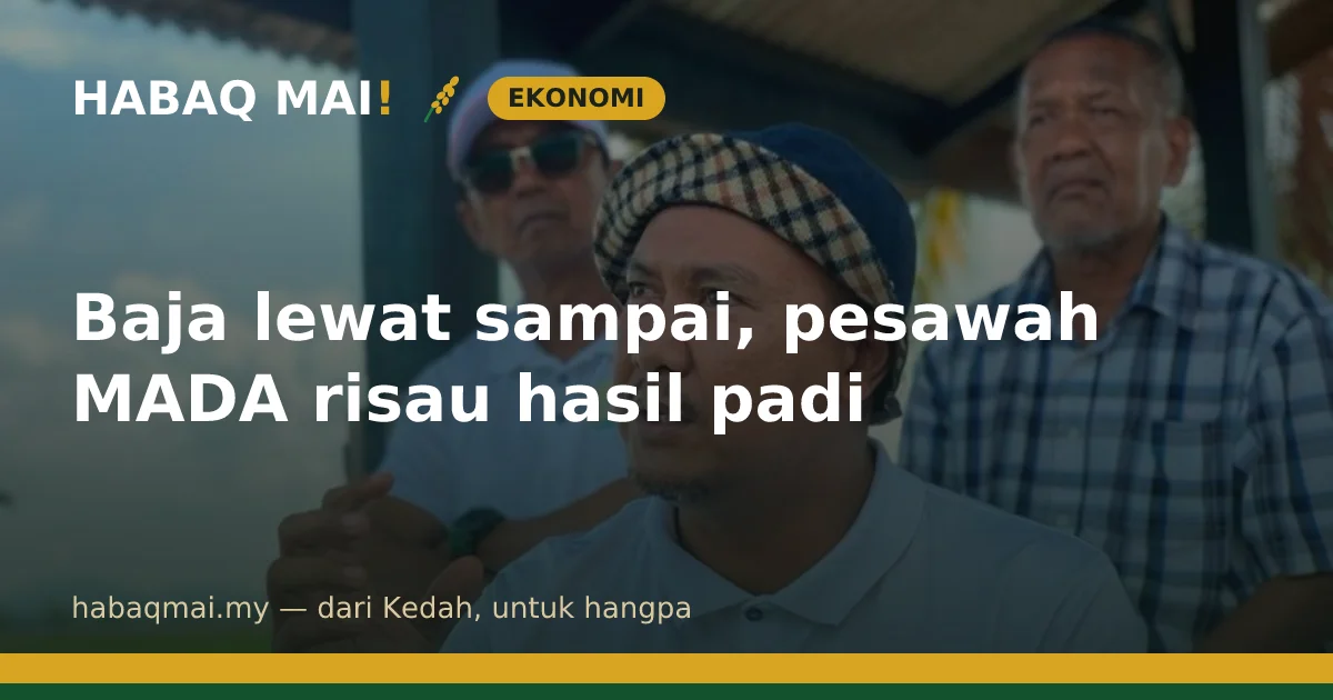 Baja lewat sampai, pesawah MADA risau hasil padi