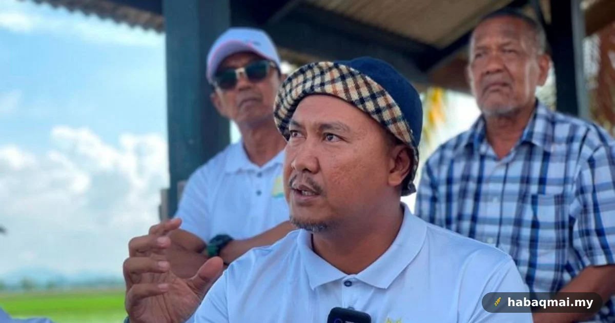 Baja lewat sampai, pesawah MADA risau hasil padi