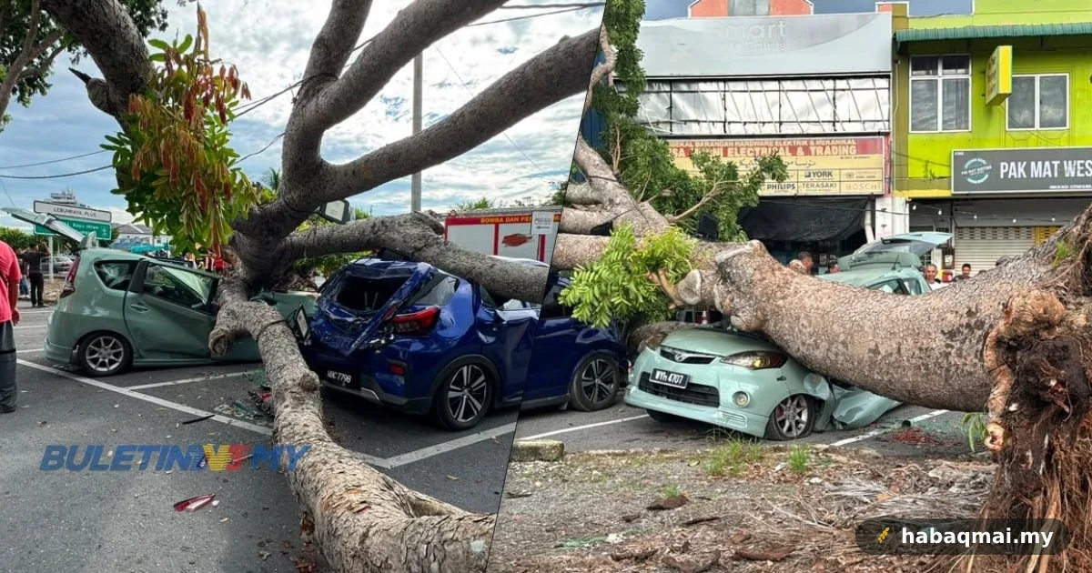 Dua Beradik Selamat Bila Pokok Tumbang Hempap Kereta Kat Kangar