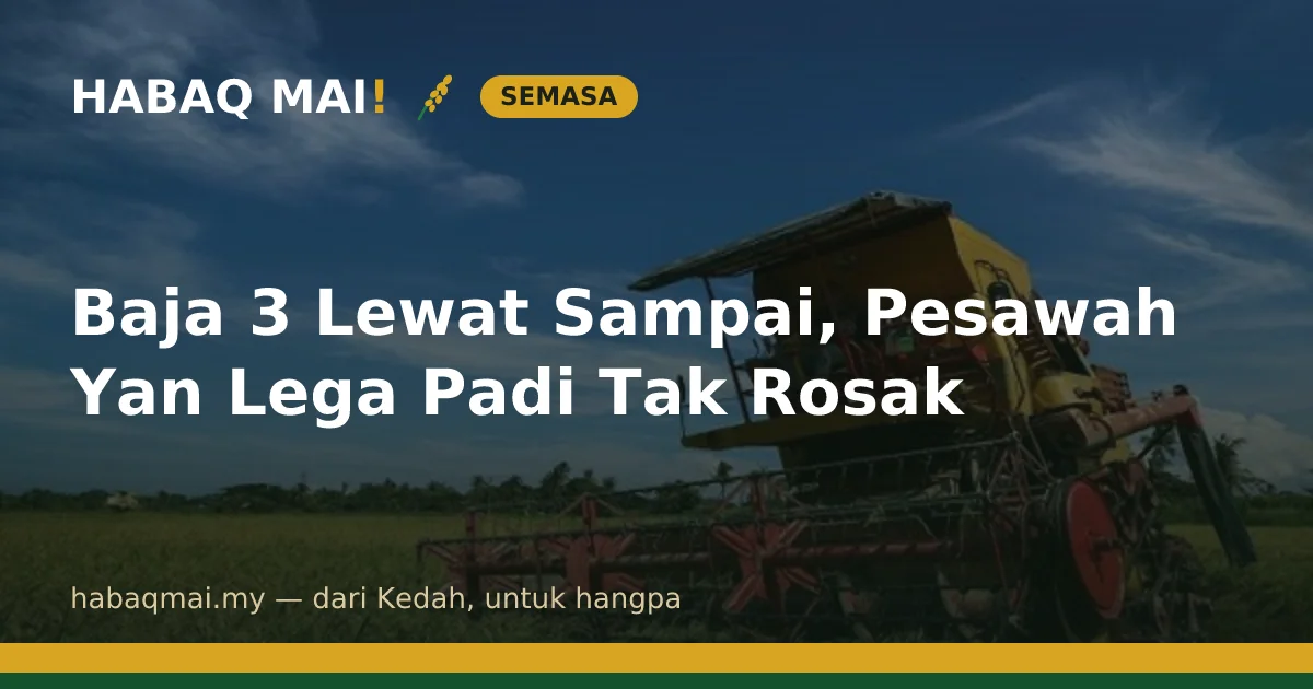 Baja 3 Lewat Sampai, Pesawah Yan Lega Padi Tak Rosak