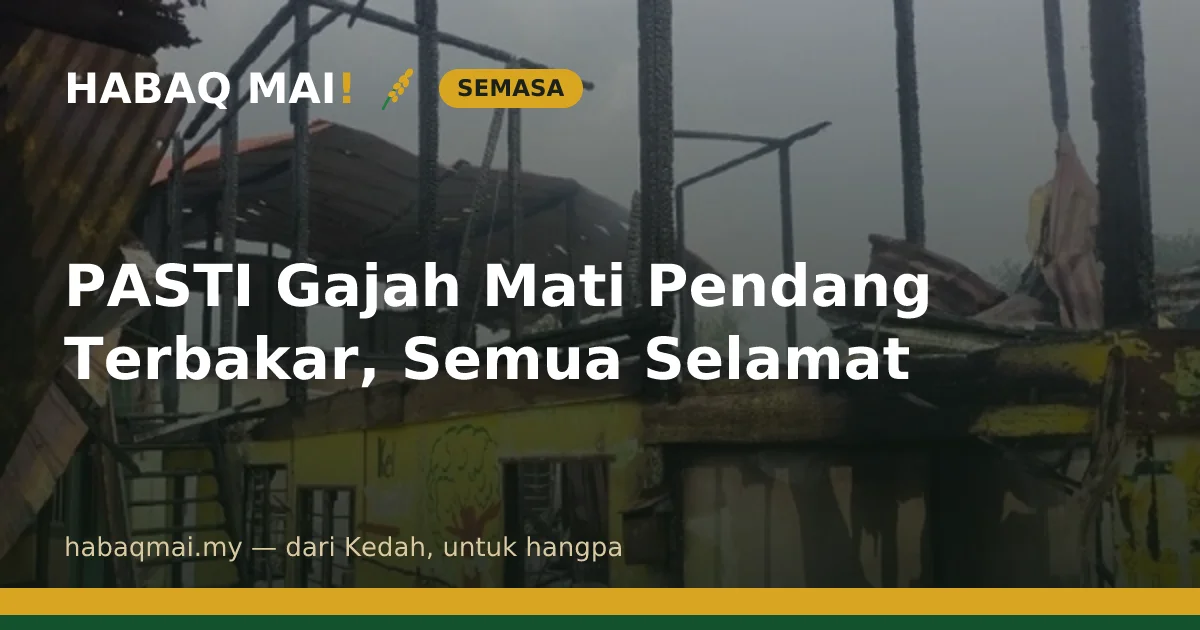 PASTI Gajah Mati Pendang Terbakar, Semua Selamat