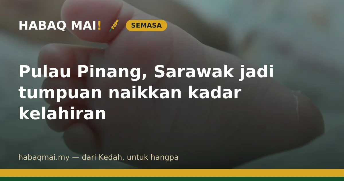 Pulau Pinang, Sarawak jadi tumpuan naikkan kadar kelahiran