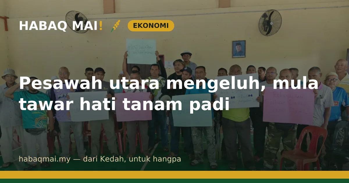 Pesawah utara mengeluh, mula tawar hati tanam padi