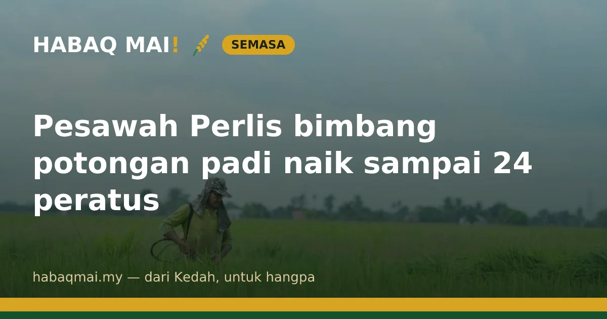 Pesawah Perlis bimbang potongan padi naik sampai 24 peratus