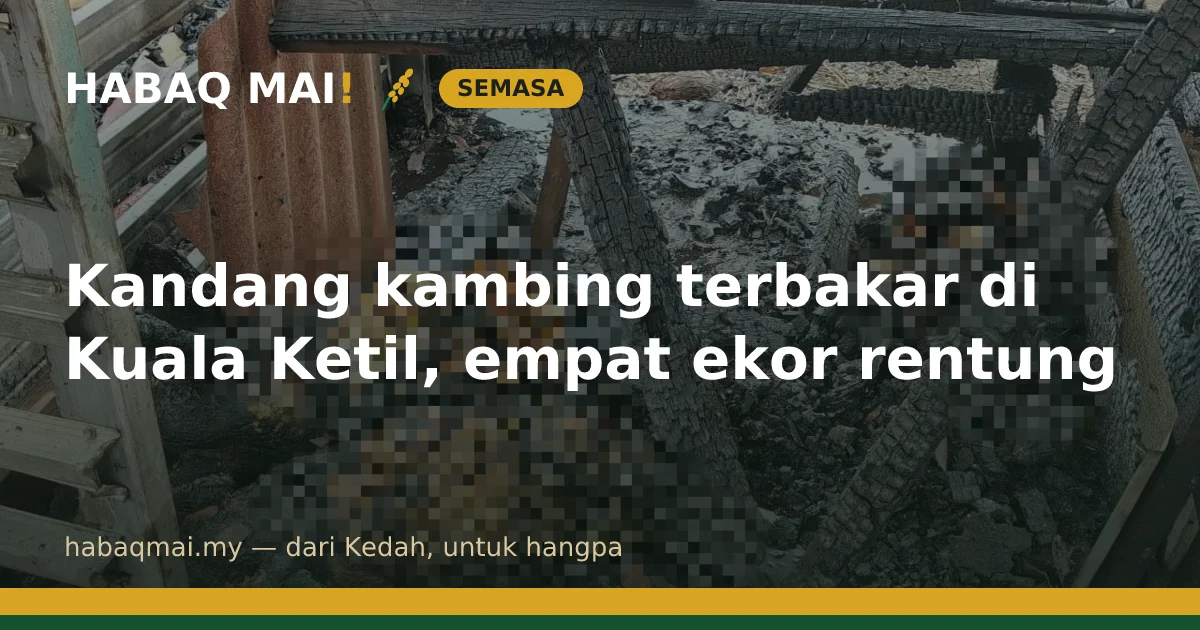 Kandang kambing terbakar di Kuala Ketil, empat ekor rentung
