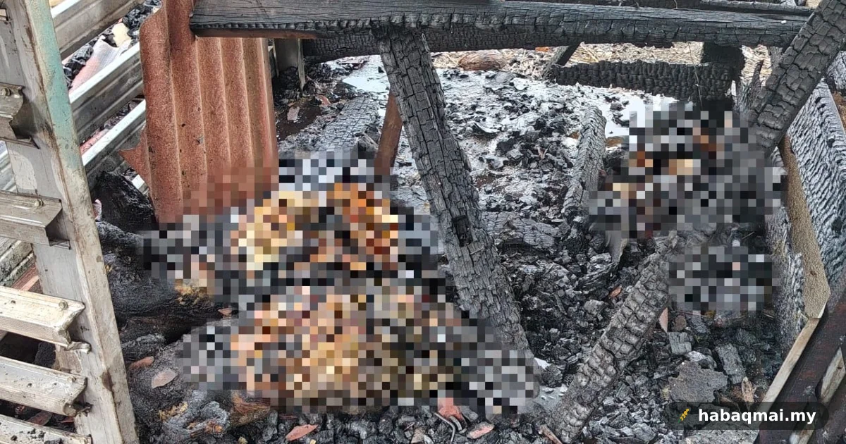 Kandang kambing terbakar di Kuala Ketil, empat ekor rentung