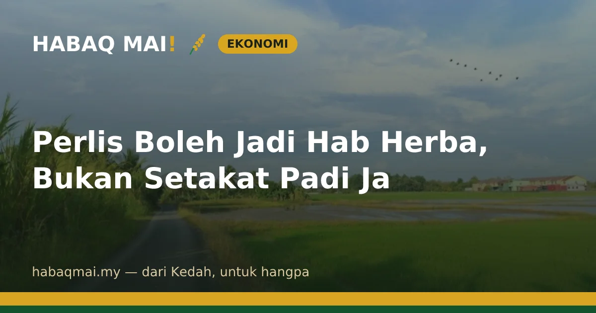 Perlis Boleh Jadi Hab Herba, Bukan Setakat Padi Ja