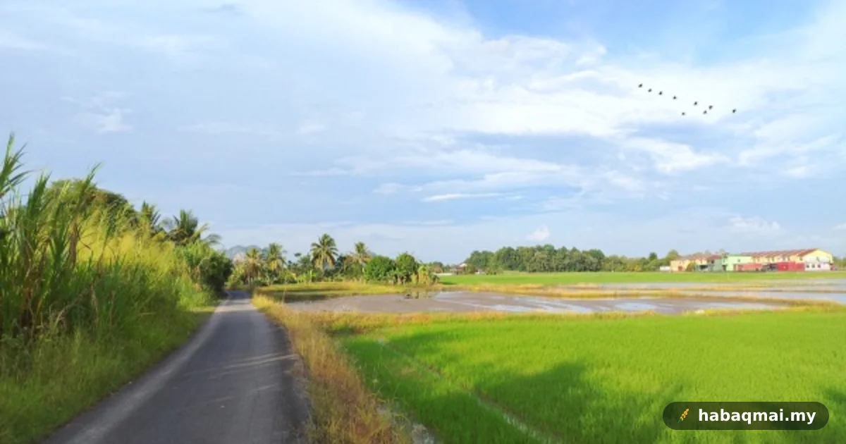 Perlis Boleh Jadi Hab Herba, Bukan Setakat Padi Ja