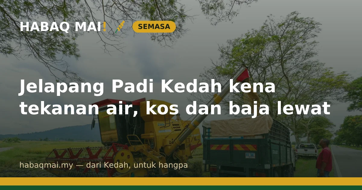 Jelapang Padi Kedah kena tekanan air, kos dan baja lewat