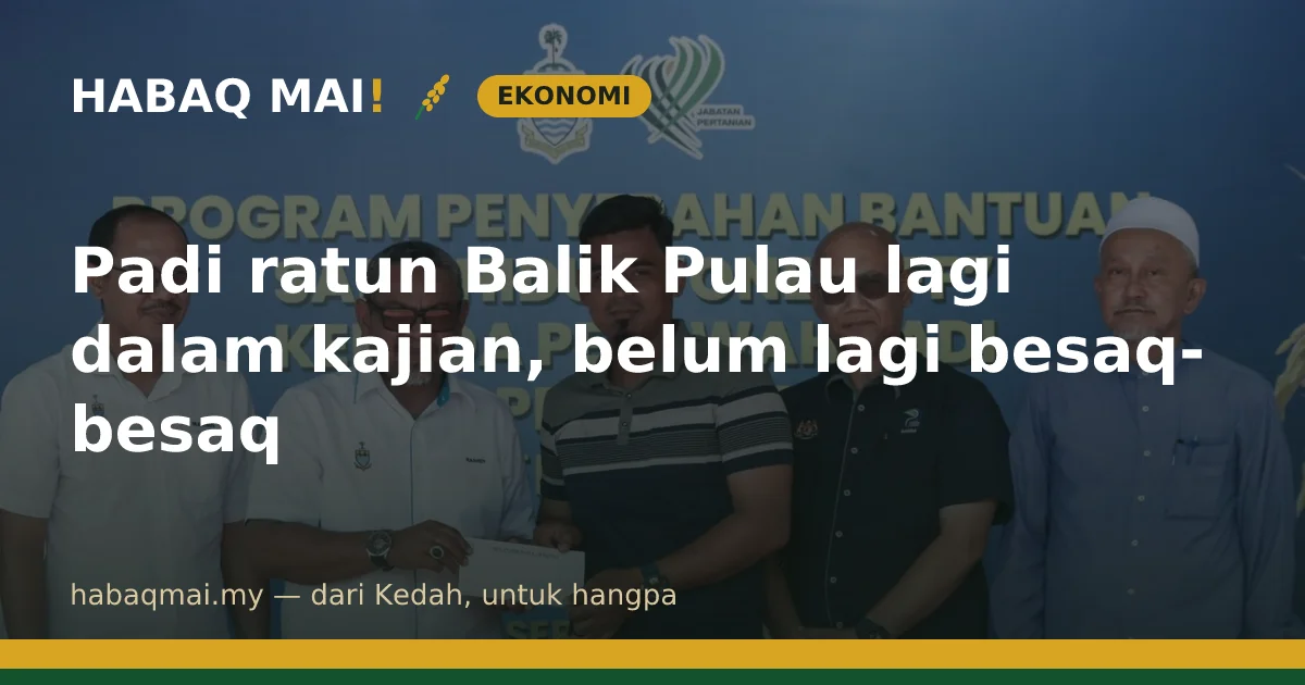 Padi ratun Balik Pulau lagi dalam kajian, belum lagi besaq-besaq