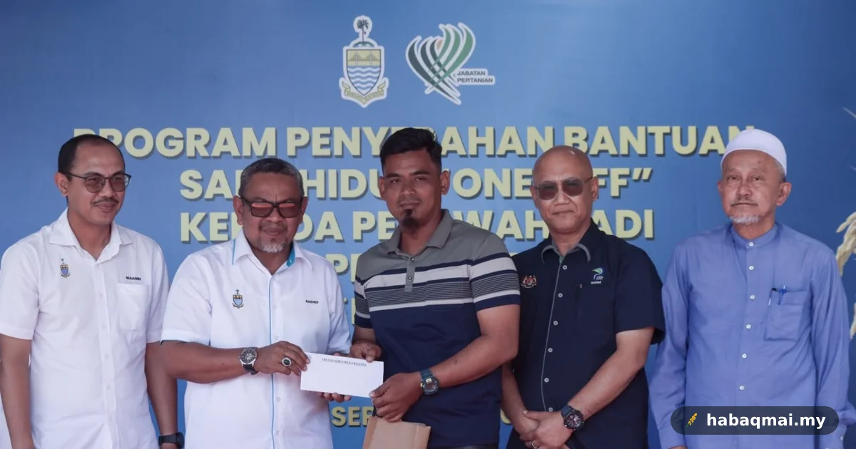 Padi ratun Balik Pulau lagi dalam kajian, belum lagi besaq-besaq