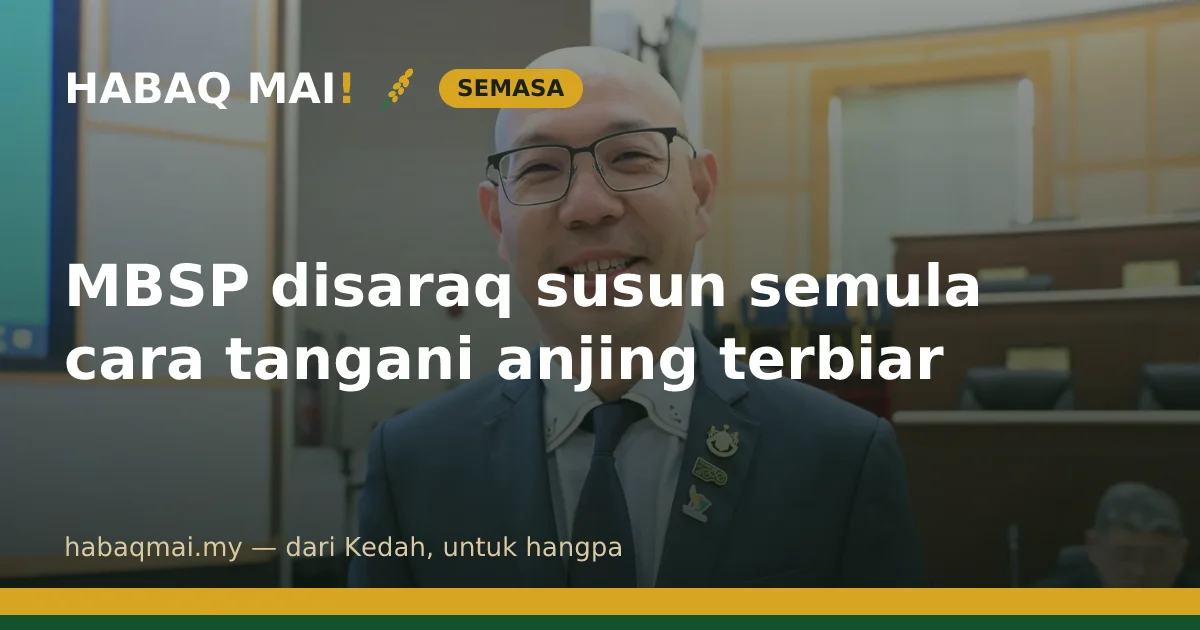 MBSP disaraq susun semula cara tangani anjing terbiar