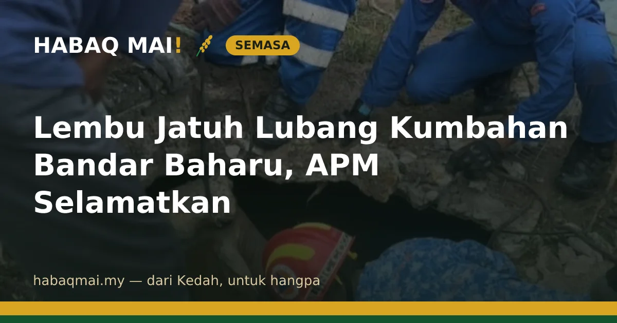 Lembu Jatuh Lubang Kumbahan Bandar Baharu, APM Selamatkan