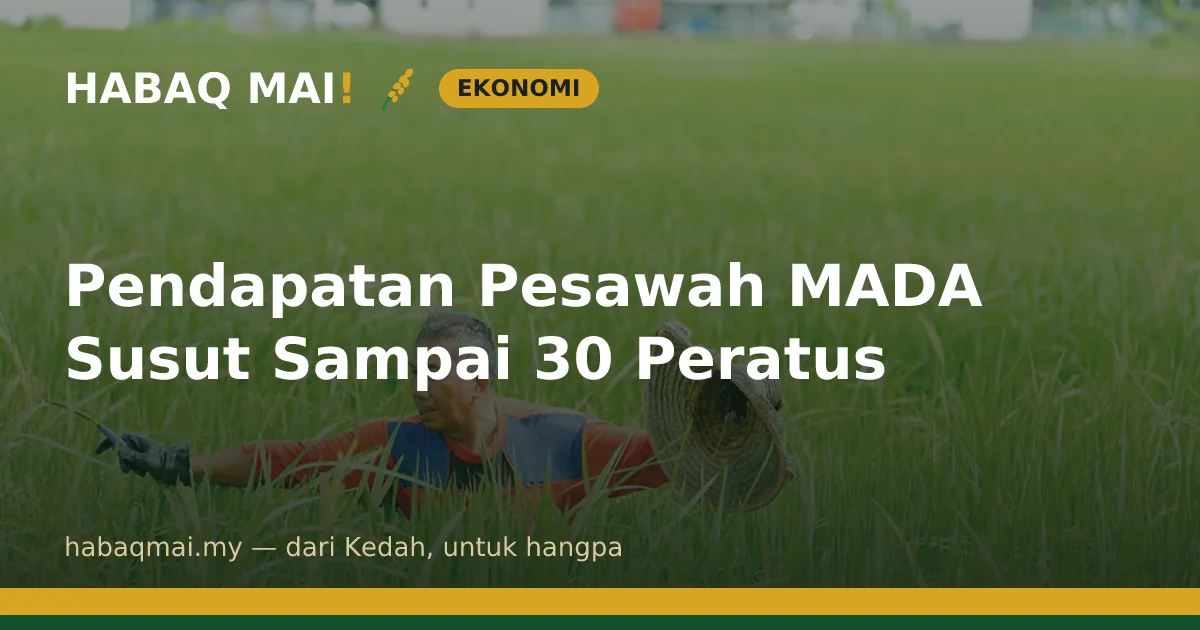Pendapatan Pesawah MADA Susut Sampai 30 Peratus