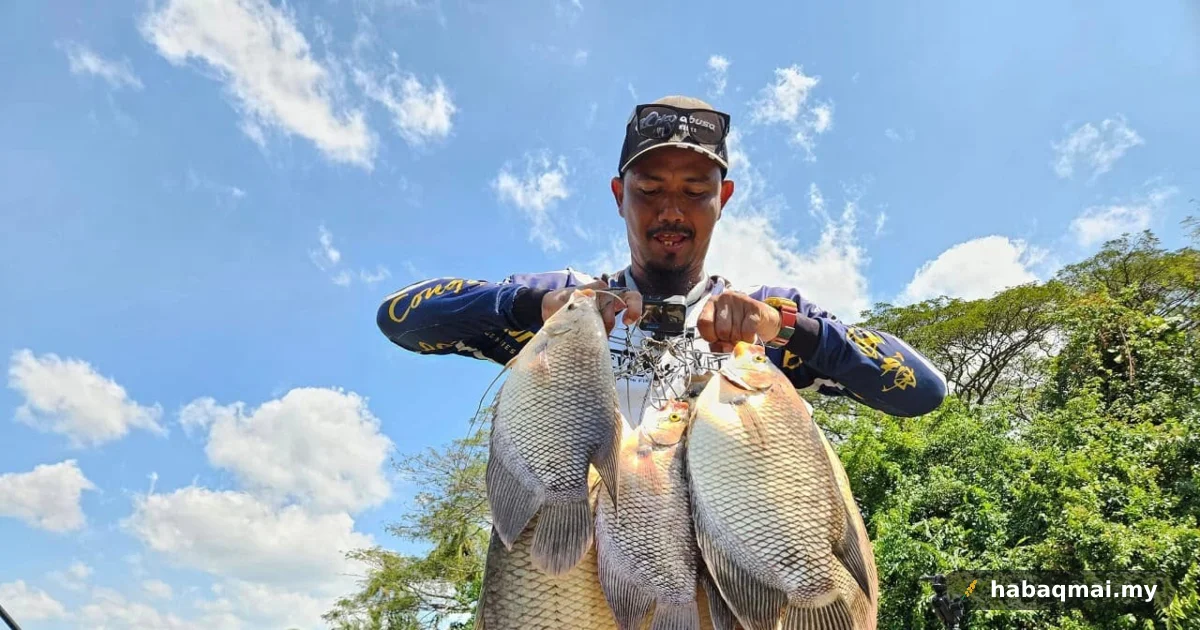 Buah lakum jadi umpan power pikat kaloi Sungai Kedah