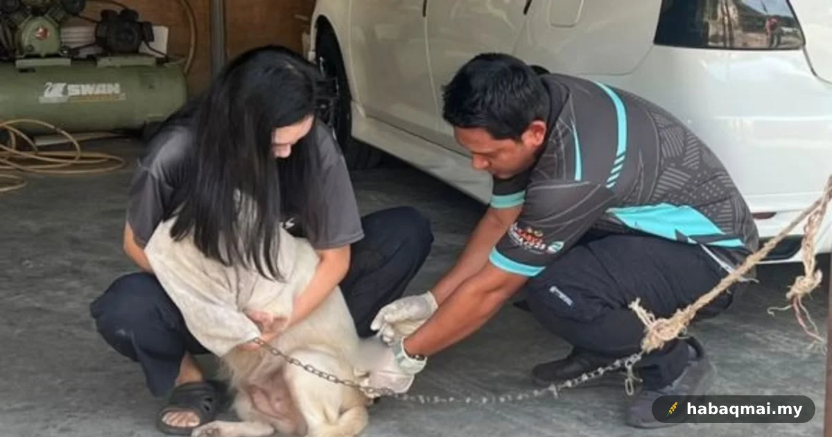 Kedah makin ketat cegah rabies di Kubang Pasu