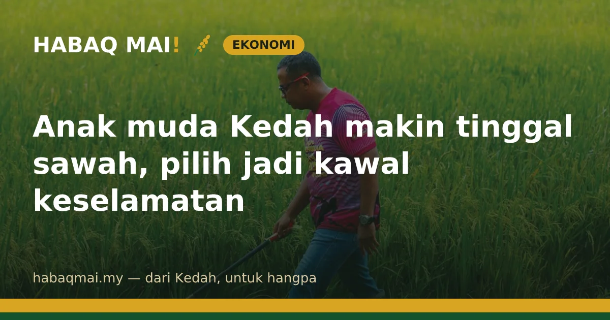 Anak muda Kedah makin tinggal sawah, pilih jadi kawal keselamatan