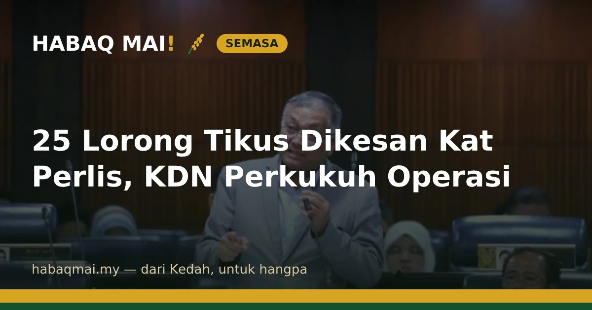 25 Lorong Tikus Dikesan Kat Perlis, KDN Perkukuh Operasi