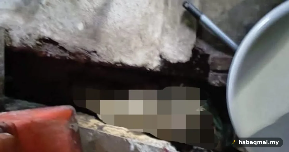 Gempar Jumpa Mayat Berbalut Kain Dalam Longkang Permatang Pauh